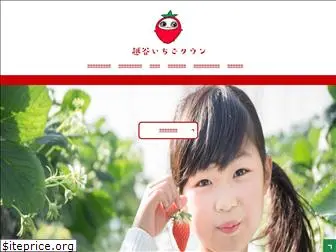 ichigo-town.com