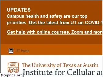 icmb.utexas.edu