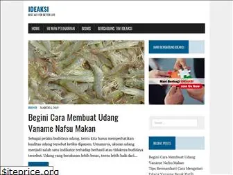 ideaksi.com