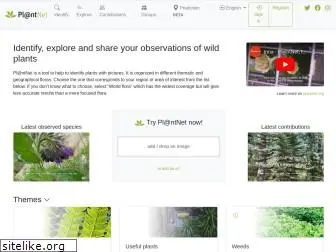 identify.plantnet.org