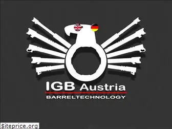 igbaustria.com