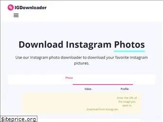 igdownloader.com