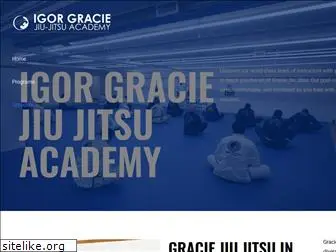 igorgraciejiujitsu.com