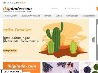 ikigunde.com