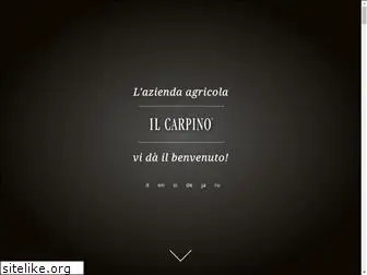 ilcarpino.com
