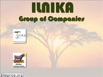ilnika.com