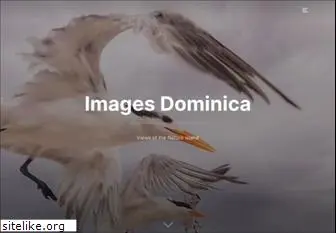 images-dominica.com