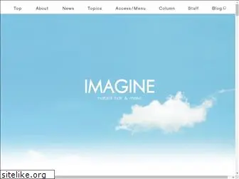 imagine-hair.com