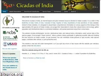 indiancicadas.org