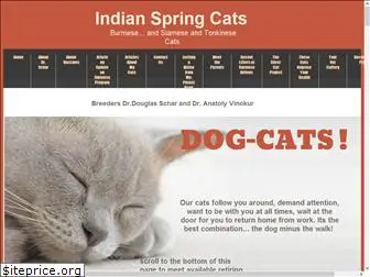 indianspringcats.com