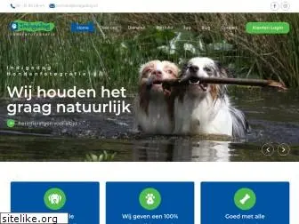 indigodog.nl