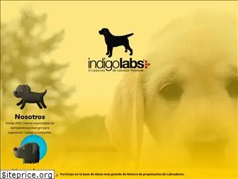 indigolabs.com.mx