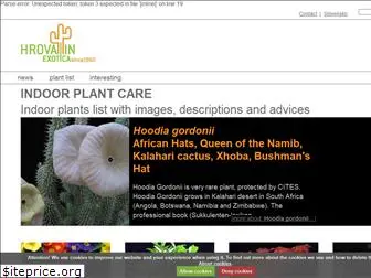 indoor-plant-care.com