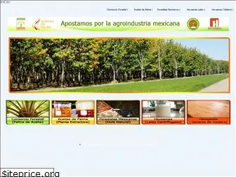 induagro.com.mx