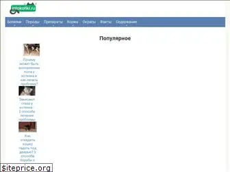 infokotiki.ru