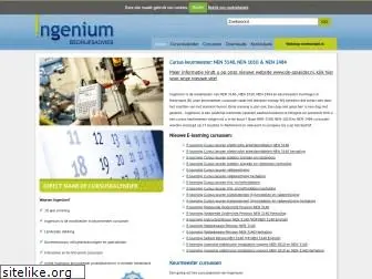 ingeniumbedrijfsadvies.nl