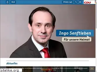 ingo-senftleben.de