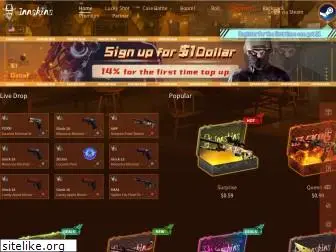 innskins.com