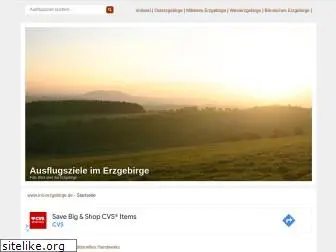 ins-erzgebirge.de