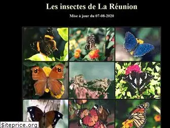 insectarium-reunion.fr