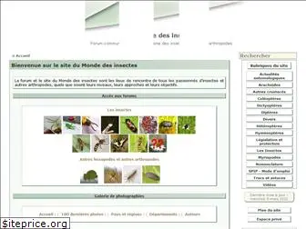 insecte.org