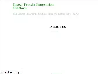 insectinnovation.org