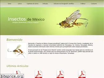 insectosdemexico.com