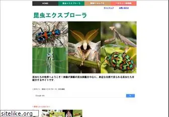 insects.jp