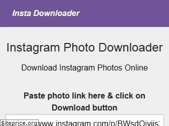 insta-downloader.net