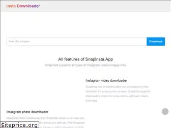 instadownloader.website