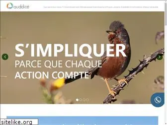 institut-auddice.com