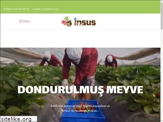 insus.com.tr