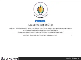 internetofbirds.com