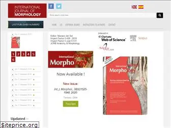 intjmorphol.com