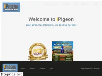 ipigeon.com
