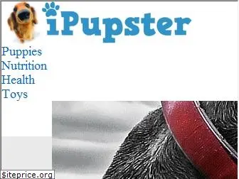 ipupster.com