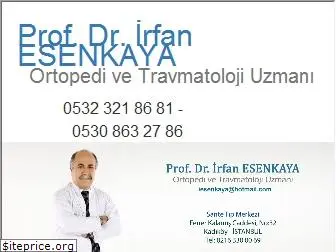 irfanesenkaya.com