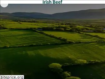 irishbeef.de