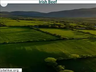 irishbeef.nl