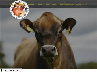 irishjerseycattle.com