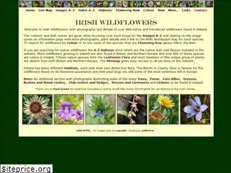 irishwildflowers.ie