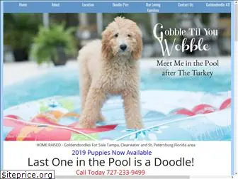 islandgoldendoodles.com