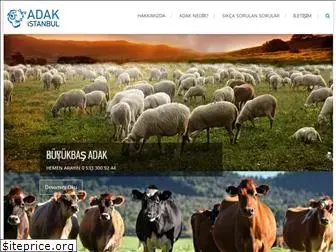 istanbuladak.com