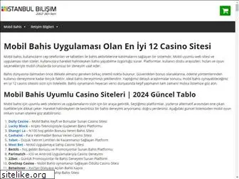 istanbulbilisim.com