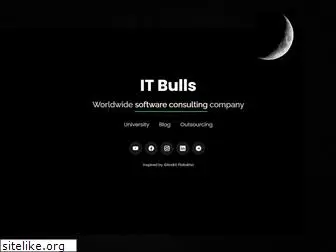 it-bulls.com