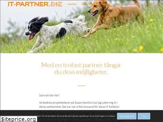 it-partner.biz