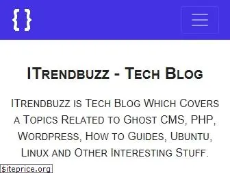 itrendbuzz.com