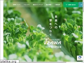 izawa-jp.com