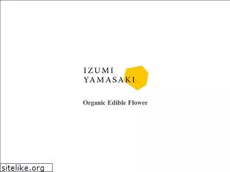 izumi-yamasaki.com