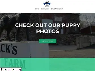 jacksdogfarm.org